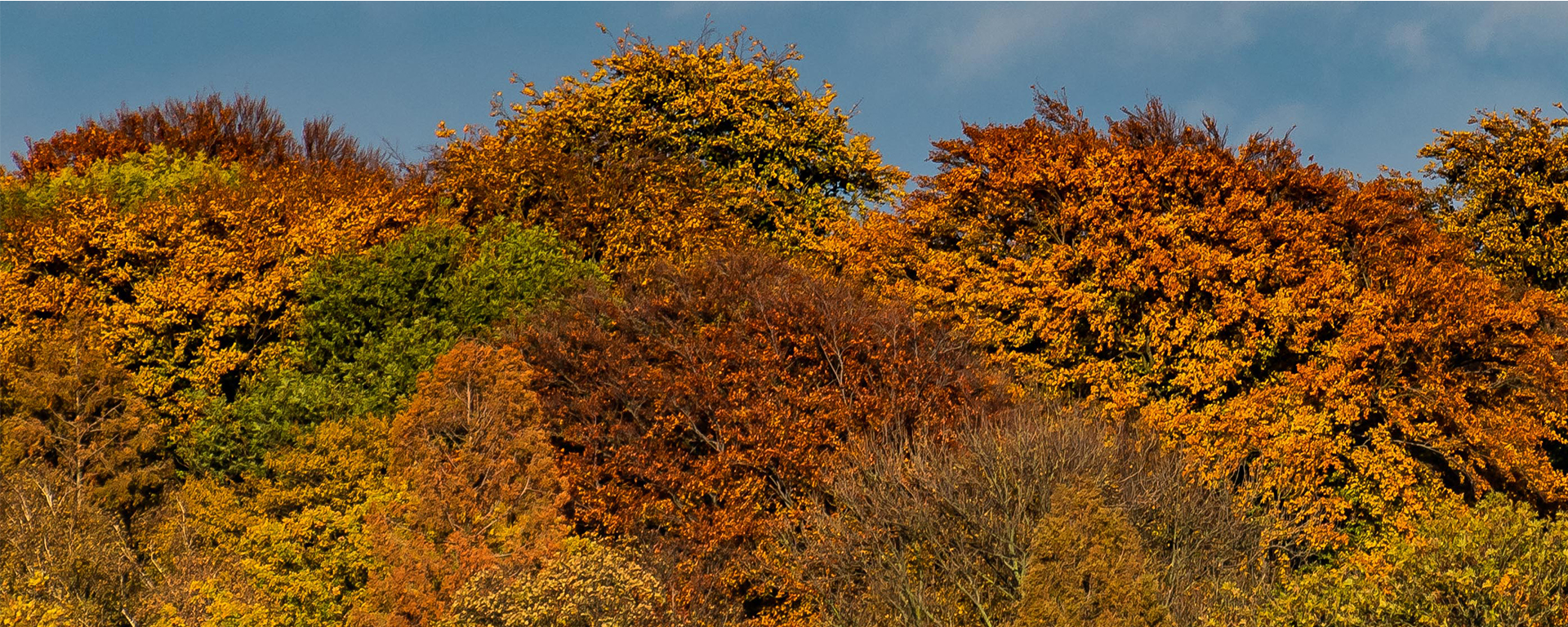 Wir w�nschen sch�ne Herbstferien! 