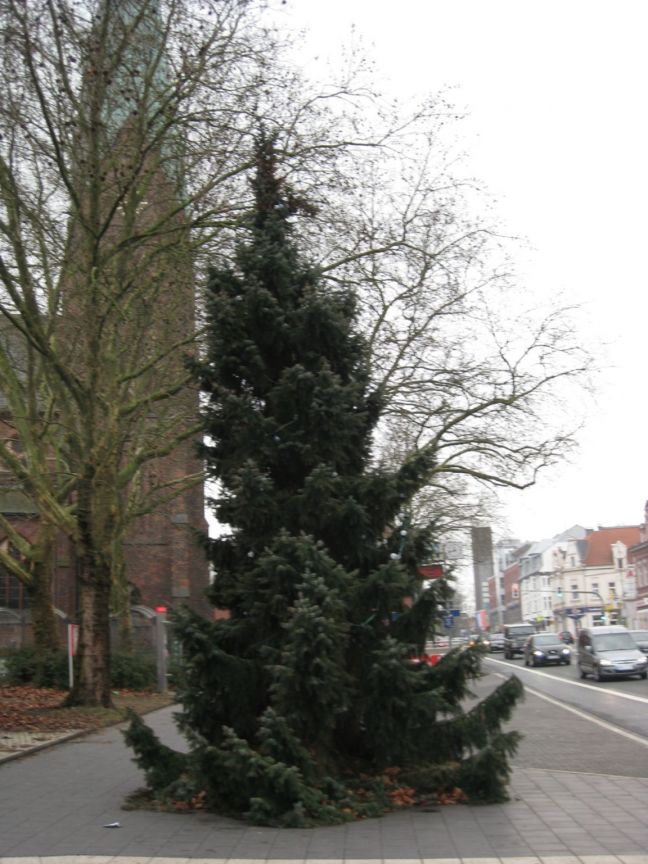 Riemker-Weihnachtsbaum